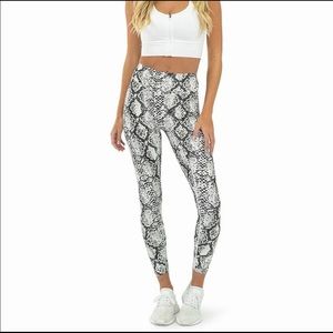 Balance Athletica - Python -Ascend Pants